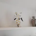 Apartment Pearl House *